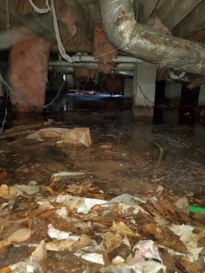 Crawl space flood assessment for Leak Detection & Repair in Riverside